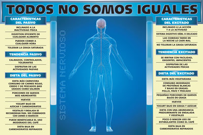 Ver Imagen Tamao Grande (poster sistema nervioso)